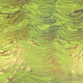 Fényes holo mintás fürdőruha anyag - GIALLO